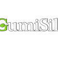 Gumsil Store